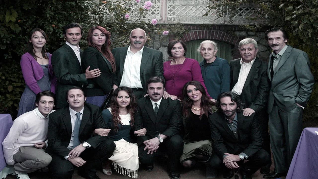 Geniş Aile Koleksiyonu