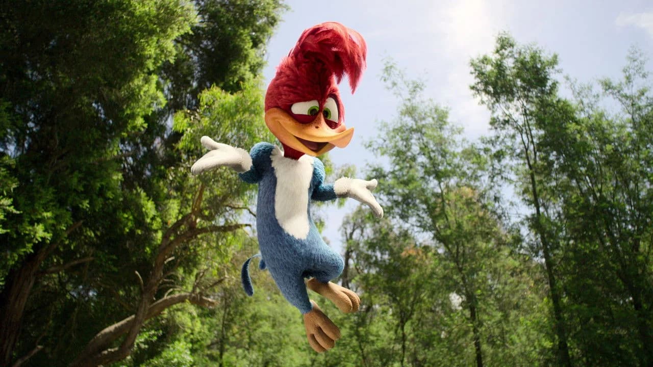 Ağaçkakan Woody Koleksiyonu
