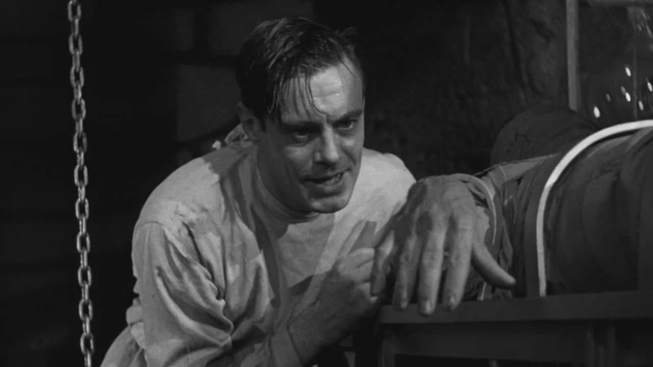 Frankenstein (Universal) Collection