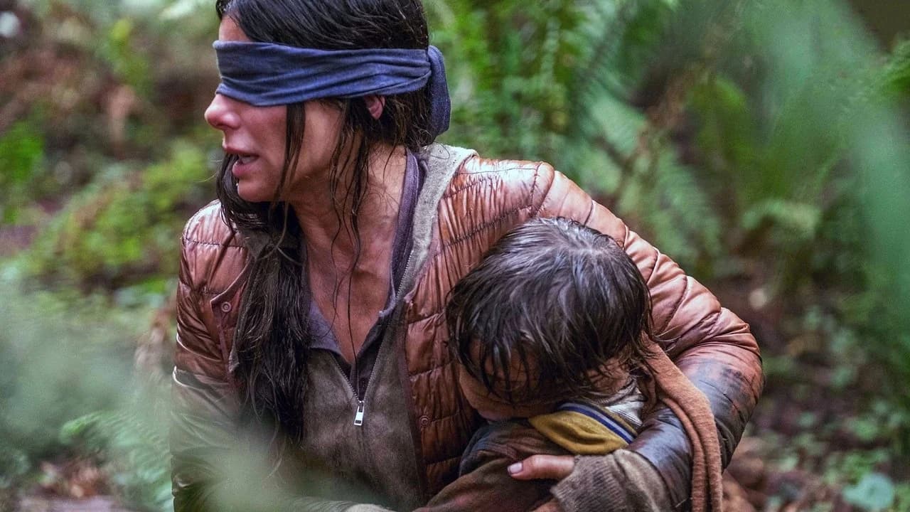 Bird Box [Seri]