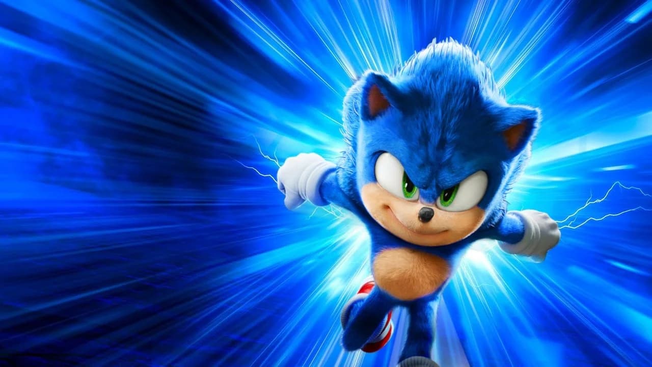 Kirpi Sonic Koleksiyonu