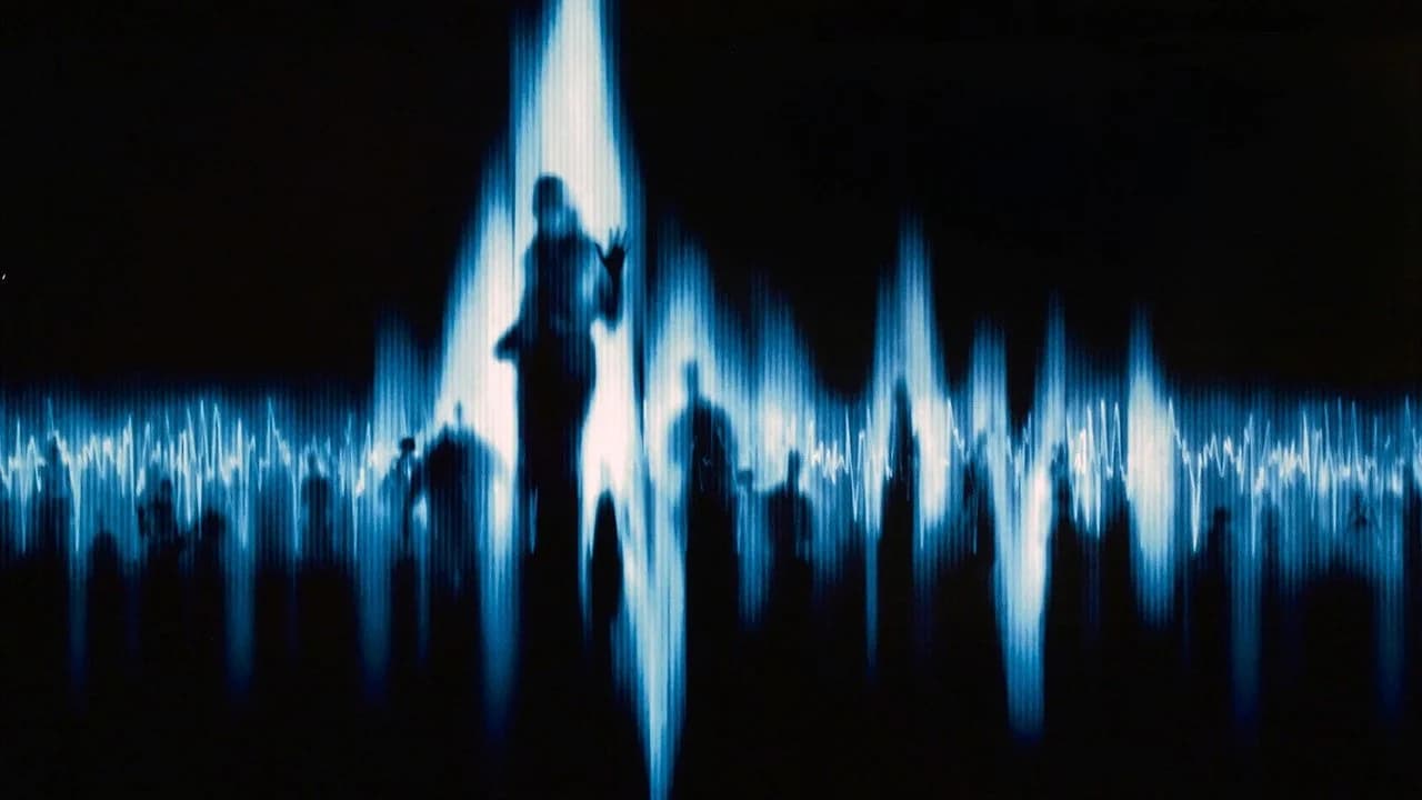 White Noise Collection