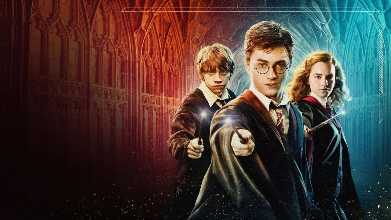 Harry Potter Koleksiyonu
