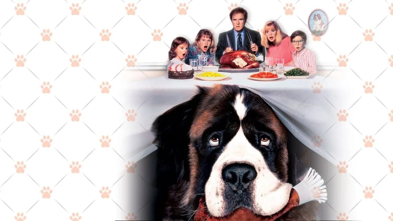 Afacan Köpek Beethoven Koleksiyonu
