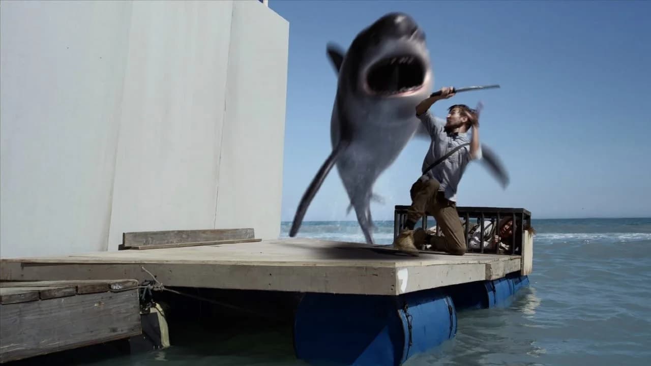 The Sharks Collection