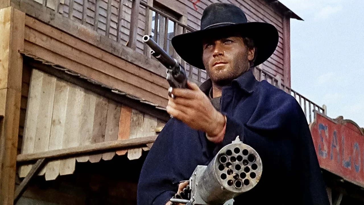 Django - Collezione