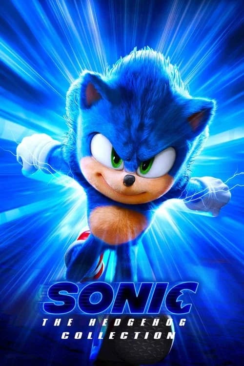 Kirpi Sonic Koleksiyonu