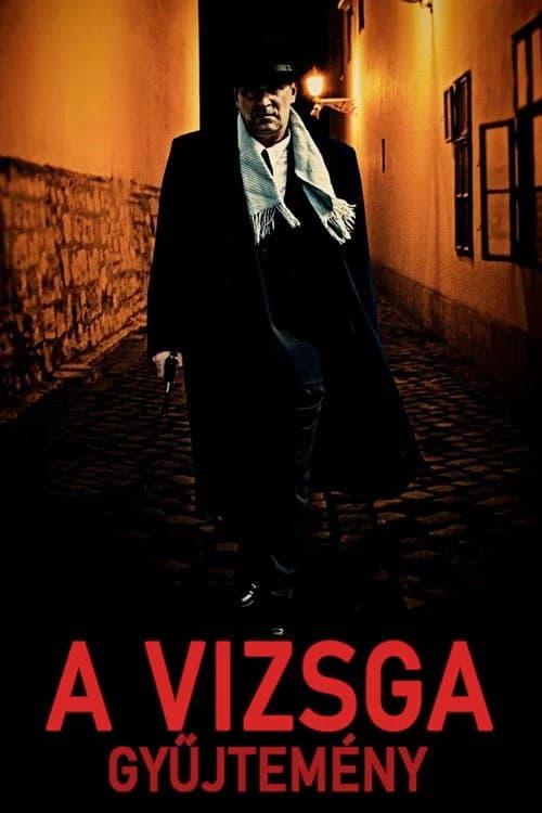A vizsga gyűjtemény