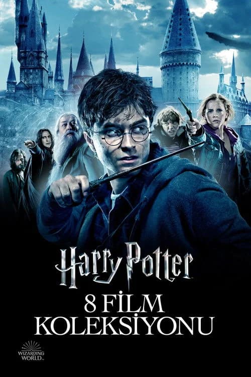 Harry Potter Koleksiyonu