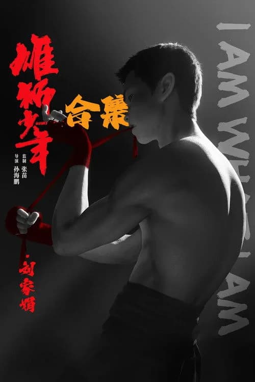 雄狮少年（系列）