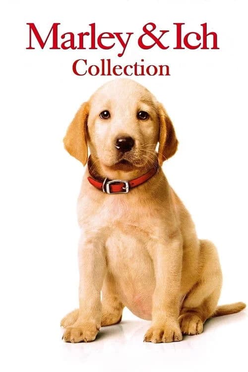 Marley & Me Collection