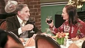 The Big Bang Theory 9. Sezon 24. Bölüm