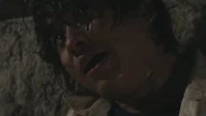 仮面ライダー 12. Sezon 43. Bölüm