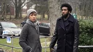 The Good Fight 3. Sezon 5. Bölüm