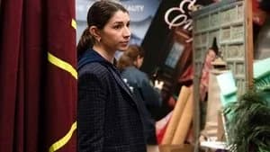 Law & Order: Special Victims Unit 21. Sezon 17. Bölüm