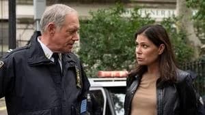 Law & Order 24. Sezon 8. Bölüm