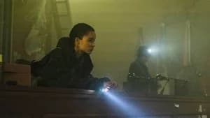 Y: The Last Man 1. Sezon 9. Bölüm