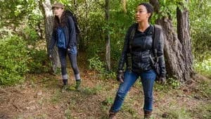 The Walking Dead 7. Sezon 14. Bölüm