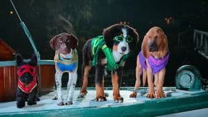 Super PupZ 1. Sezon 7. Bölüm
