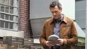 The Man in the High Castle 3. Sezon 10. Bölüm