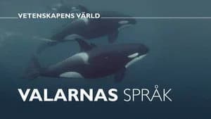 Vetenskapens värld 47. Sezon 32. Bölüm