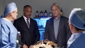 NCIS 15. Sezon 8. Bölüm