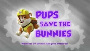 PAW Patrol 1. Sezon 13. Bölüm