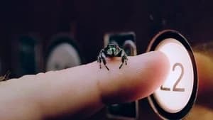 A Real Bug's Life 2. Sezon 5. Bölüm