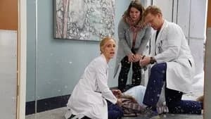 Grey's Anatomy 16. Sezon 15. Bölüm