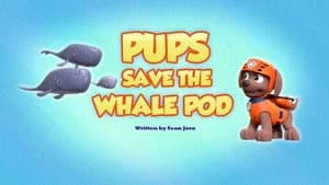 PAW Patrol 7. Sezon 36. Bölüm