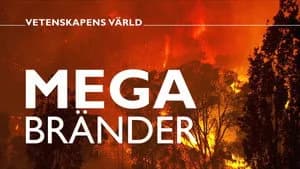 Vetenskapens värld 48. Sezon 9. Bölüm