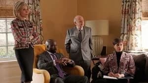 The Good Fight 2. Sezon 10. Bölüm