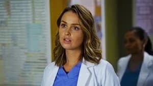 Grey's Anatomy 13. Sezon 4. Bölüm
