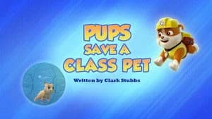 PAW Patrol 7. Sezon 47. Bölüm