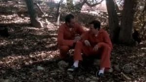 NCIS 2. Sezon 10. Bölüm
