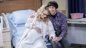 The Big Bang Theory 10. Sezon 11. Bölüm