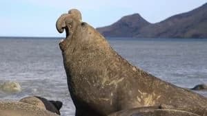 Big Beasts 1. Sezon 2. Bölüm