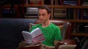 The Big Bang Theory 1. Sezon 17. Bölüm