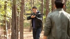 The Vampire Diaries 3. Sezon 10. Bölüm