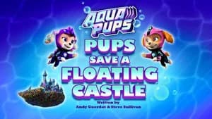 PAW Patrol 9. Sezon 22. Bölüm