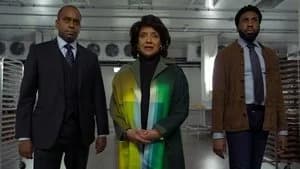 The Good Fight 6. Sezon 7. Bölüm