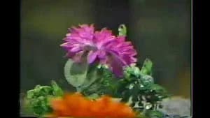 霹靂布袋戲 6. Sezon 10. Bölüm