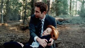 The X-Files 7. Sezon 22. Bölüm