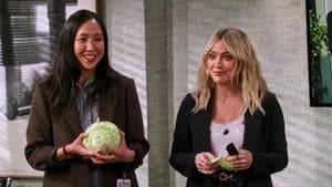 How I Met Your Father 2. Sezon 15. Bölüm