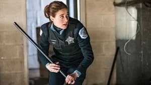 Chicago P.D. 2. Sezon 15. Bölüm