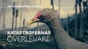 Vetenskapens värld 48. Sezon 18. Bölüm
