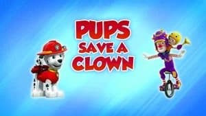 PAW Patrol 8. Sezon 6. Bölüm