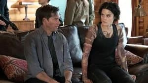 Blindspot 2. Sezon 17. Bölüm