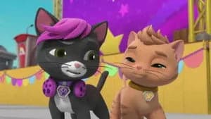 PAW Patrol 10. Sezon 38. Bölüm
