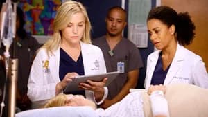 Grey's Anatomy 13. Sezon 11. Bölüm
